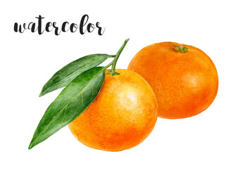 Watercolor of vibrant mandarines with leaves, creating a fresh and colorful artistic representation