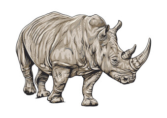Fototapeta premium Detailed vector illustration of a rhinoceros, featuring two prominent horns on its snout, set against a white background