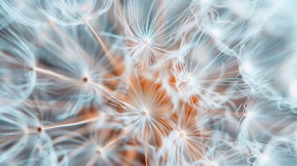 An exquisite macro photograph featuring dandelion seeds, revealing their fragile yet intricate structure, symbolizing dreams, wishes, and the transient nature of life.