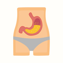 Gastric organs of a healthy human body. Human health. A well-functioning gastric system. Pro Vector isolated vector illustration