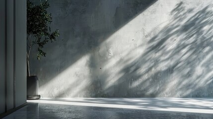 Minimalist Interior with Concrete Wall and Sunlight
