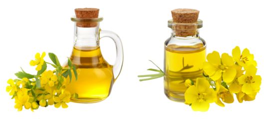 Canola oil bottles with canola flowers isolated on transparent or white background
