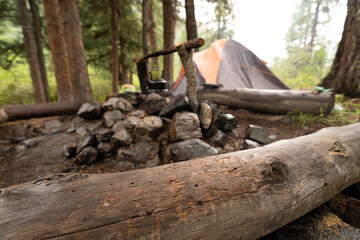 empty surface of tree trunk on the camping 