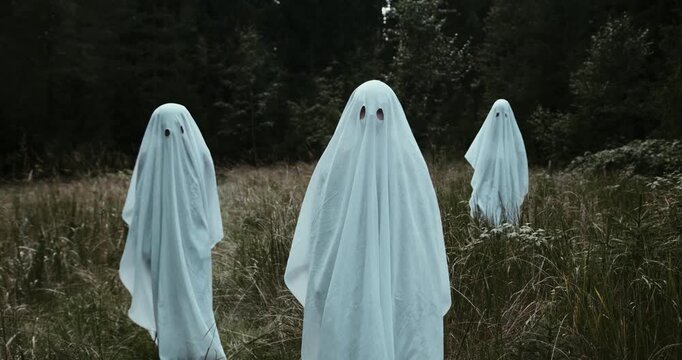It's Halloween and the ghosts already know it, and you go out to scare the people in the towns


es halloween y los fantasma ya lo saben, y sales a asustar a las personas de los pueblos 