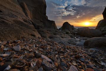 Russia. Dagestan. Dawn on the seashell-strewn rocky shore of the Caspian Sea near the city embankment of Makhachkala.