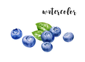 Watercolor Blueberries with Green Leaves Fresh Fruit Illustration