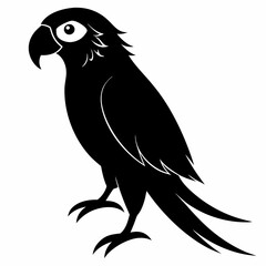 Macaw Black silhouette