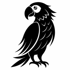 Macaw Black silhouette