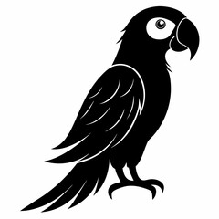 Obraz premium Macaw Black silhouette