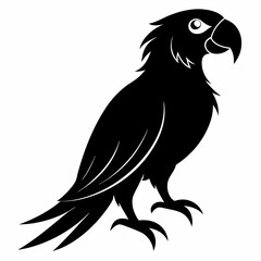 Macaw Black silhouette
