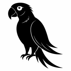 Macaw Black silhouette