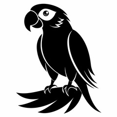 Fototapeta premium Macaw Black silhouette