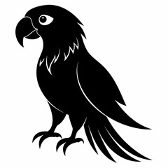 Macaw Black silhouette