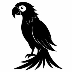 Obraz premium Macaw Black silhouette