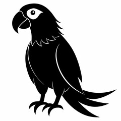 Macaw Black silhouette