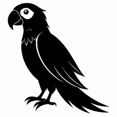 Macaw Black silhouette