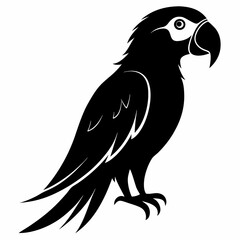 Obraz premium Macaw Black silhouette