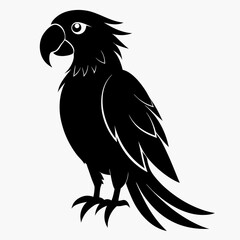 Macaw Black silhouette