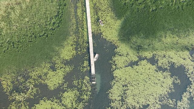 Old wooden pier with boat on Plavsko lake between water lilies, Montenegro, Europe