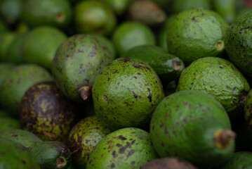 Bunch of fresh avocados at the fruit market