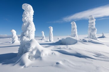 A snowy landscape with a few snow-covered trees