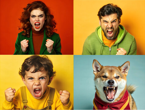collection of angry people and pets - furious man, woman, child, and dog