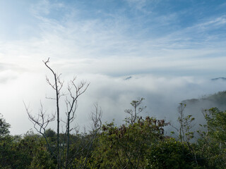Aerial view of clouds covering the mountains in the morning