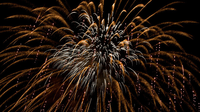 Color time lapse photo of a large gold and white firework exploding and showering down golden embers against a black night sky.