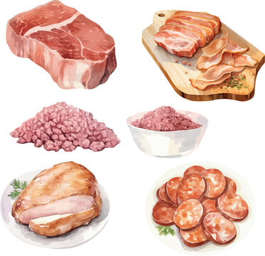 Vector Watercolor food, clipart, ingredients. Cold cuts, minced meat, ham, steak, bacon. Illustrations for creative cooking, invitation, greeting cards, birthday, event, holiday, menu; cooking class; 