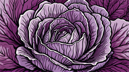 Obraz premium Vector Illustration of Red Cabbage
