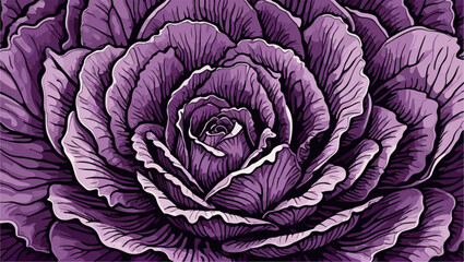 Fototapeta premium Organic Red Cabbage Graphic