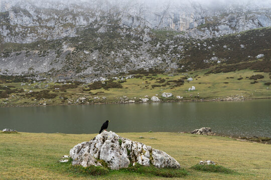 A bird is perched on a rock in front of a large body of water. The scene is peaceful and serene, with the bird being the only living creature in the area. The water is calm and still