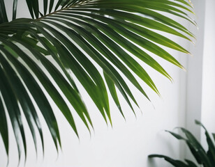 Blurred defocused shadow from palm leaves on white wall. Minimalistic beautiful summer or spring background for product presentation. Theme of travel and beach holidays. Long narrow leaves. AI