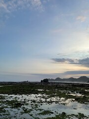 This image captures a serene beach scene at dawn or dusk. The tide appears to be out, revealing a wide expanse of glistening, mossy green seaweed blanketing the foreground.  Shallow pools of water mir