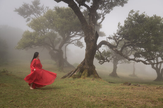 asian girl in red classic dress dansing in mist on mystic morning near old laurisilva trees in Fanal Forest, Madeira