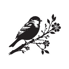Sparrow bird Black silhouette vector illustration