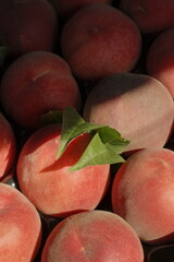 Light on fresh peaches at a market