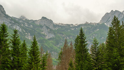 Breathtaking Panorama: The Splendor of Cimon del Froppa Rising Above the Tranquil Alpine Landscape