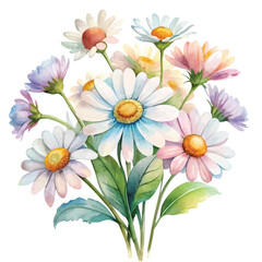 Fototapeta premium Watercolor White Daisy Flower