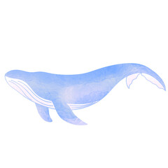 Sea life 
