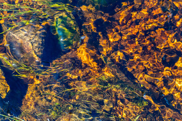 Background. The bottom of the river is with algae and stones, the clear water is reflected by blue light. Selected Focus