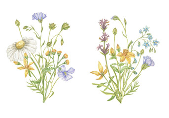 Bouquets with wild herbs and flowers. Collection of watercolor bouquets - chamomile, tansy, lavender, flax, St. John's wort. Wedding, office, wallpaper, postcard, prints, invitations, sublimation.