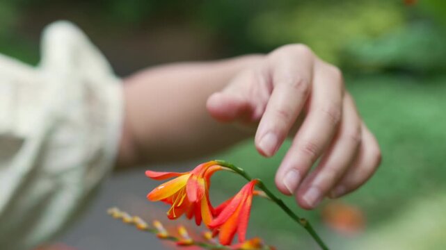 Beautiful Young Asian Woman Looking at Flowers