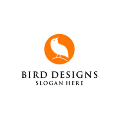 simple concept of ugly bird