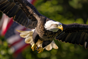 Obraz premium Majestic Flight of the American Bald Eagle, Soaring with Powerful Wings Spread, Set Against a Backdrop of a Blurred American Flag and Lush Greenery, Capturing the Spirit