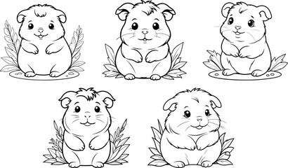 Teddy Guinea Pig coloring page and outline vector design
