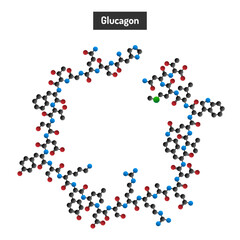 The Hypoglycemia Treatment Molecule - Glucagon