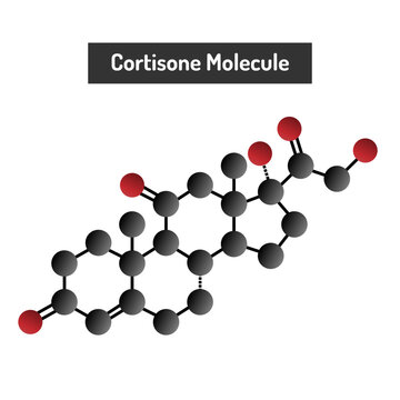 Cortisone Molecule - The Role of a Stress Hormone in Inflammation and Metabolism