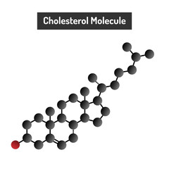 Cholesterol Molecule - Structure, Functions, and Impact on Health