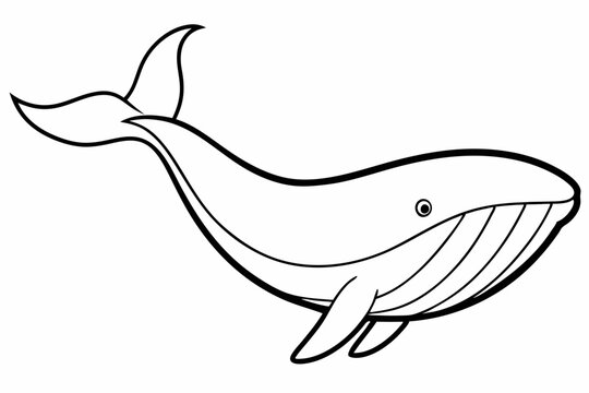 recommend clip art: 
                    
                    
                    Whale silhouette, whale animal icon. vector illustration
                    
                    
                    